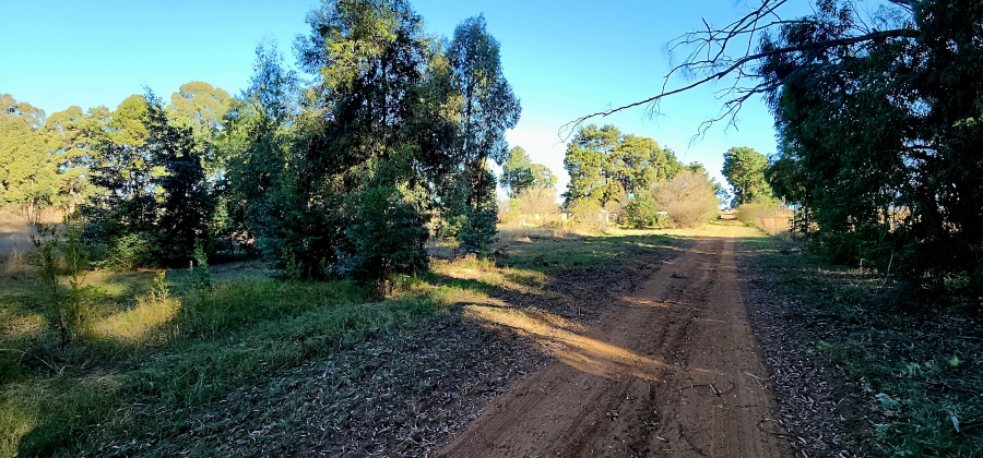 0 Bedroom Property for Sale in Naaupoort Mpumalanga