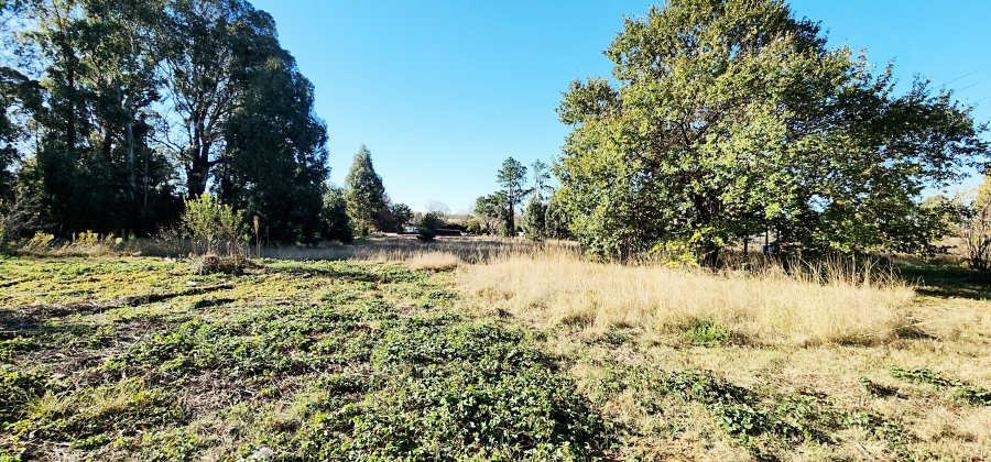 0 Bedroom Property for Sale in Naaupoort Mpumalanga