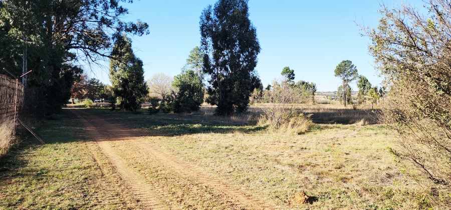 0 Bedroom Property for Sale in Naaupoort Mpumalanga