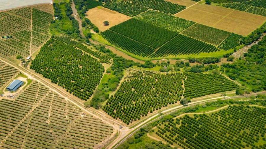 Commercial Property for Sale in Alkmaar Mpumalanga