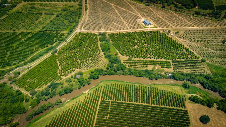 Commercial Property for Sale in Alkmaar Mpumalanga