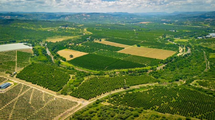 Commercial Property for Sale in Alkmaar Mpumalanga