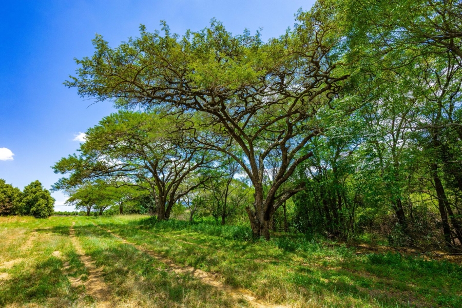 Commercial Property for Sale in Alkmaar Mpumalanga