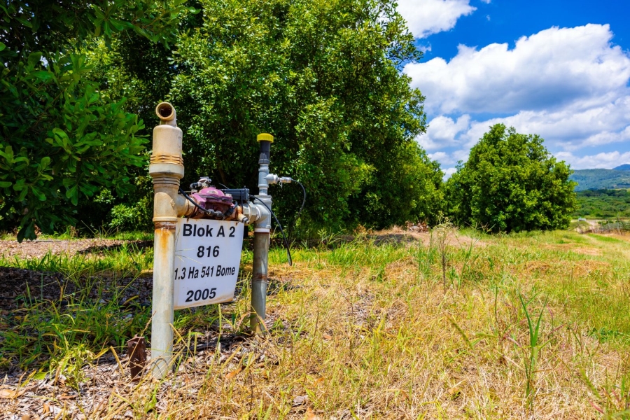 Commercial Property for Sale in Alkmaar Mpumalanga