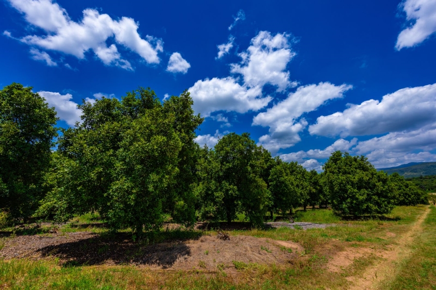 Commercial Property for Sale in Alkmaar Mpumalanga