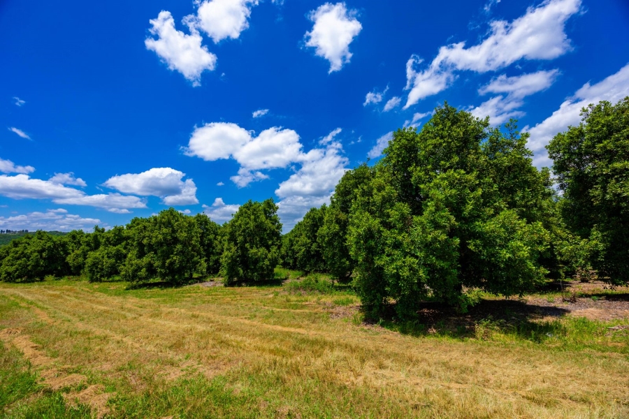 Commercial Property for Sale in Alkmaar Mpumalanga