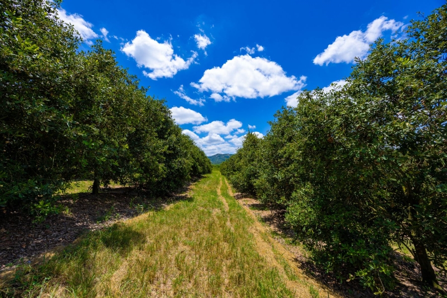 Commercial Property for Sale in Alkmaar Mpumalanga