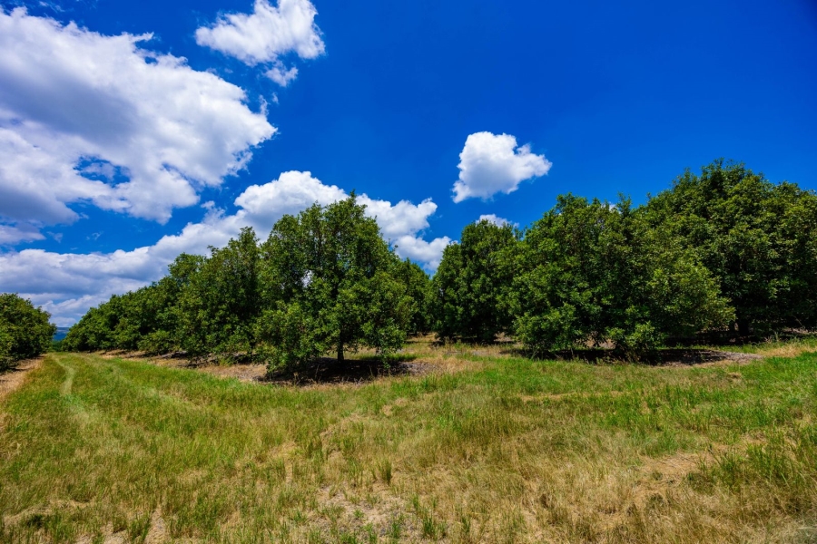 Commercial Property for Sale in Alkmaar Mpumalanga