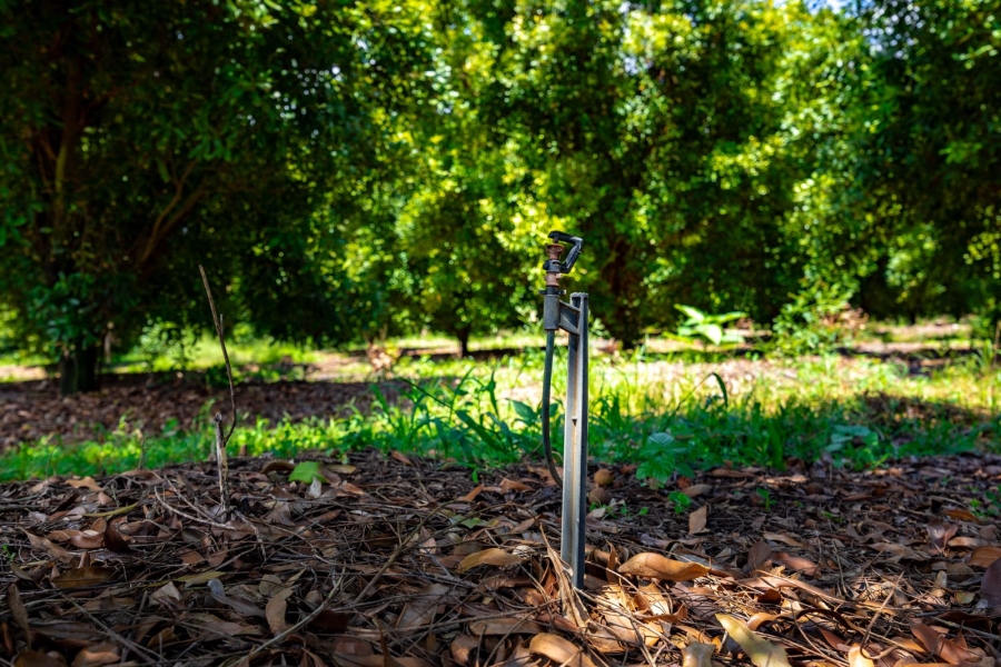 Commercial Property for Sale in Alkmaar Mpumalanga