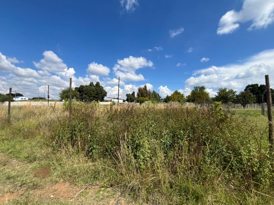 0 Bedroom Property for Sale in Balfour Mpumalanga