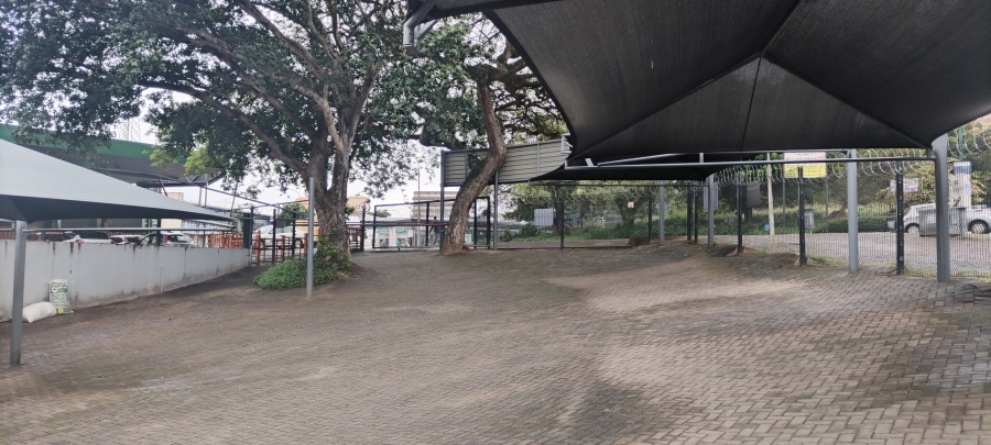 To Let Commercial Property for Rent in Nelspruit Mpumalanga