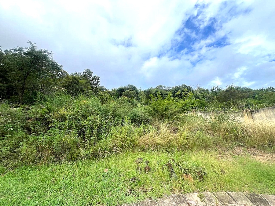 0 Bedroom Property for Sale in Drum Rock Mpumalanga