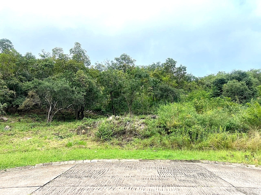 0 Bedroom Property for Sale in Drum Rock Mpumalanga