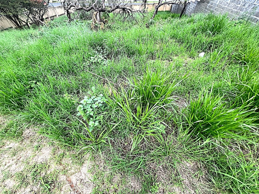 0 Bedroom Property for Sale in Drum Rock Mpumalanga