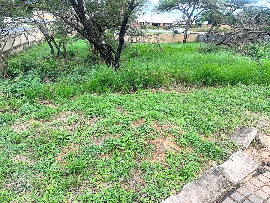 0 Bedroom Property for Sale in Drum Rock Mpumalanga