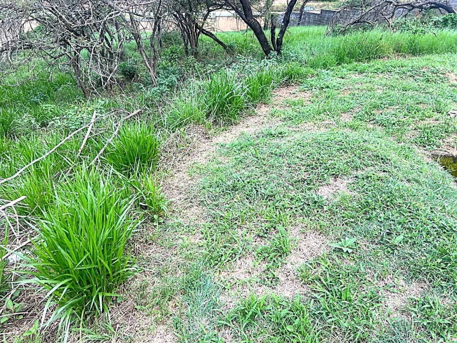 0 Bedroom Property for Sale in Drum Rock Mpumalanga