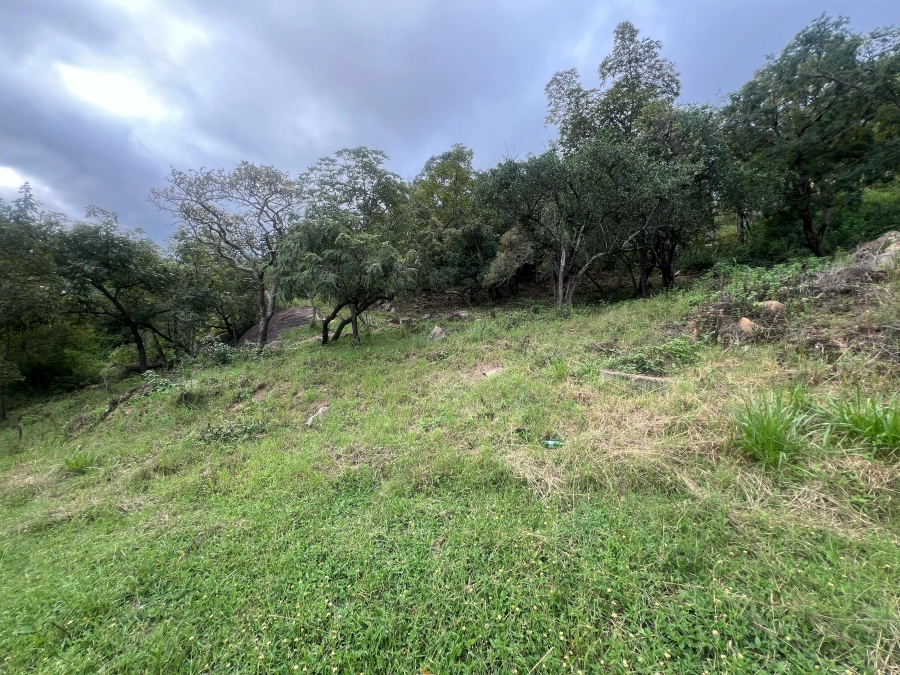 0 Bedroom Property for Sale in Drum Rock Mpumalanga