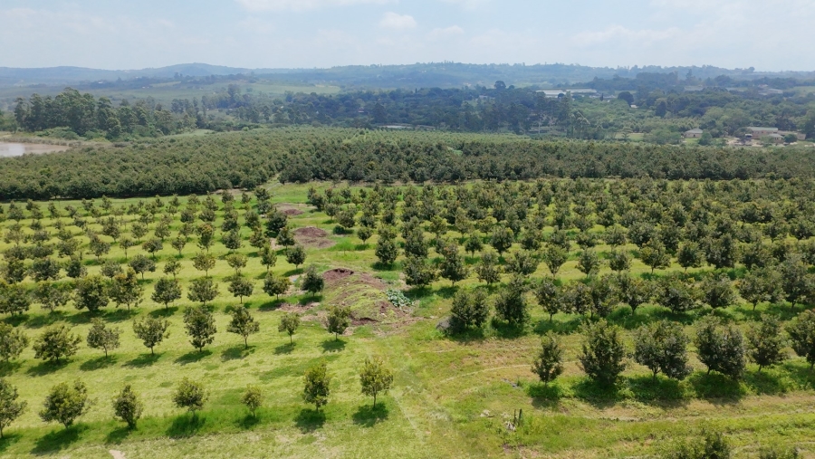 Commercial Property for Sale in White River Rural Mpumalanga