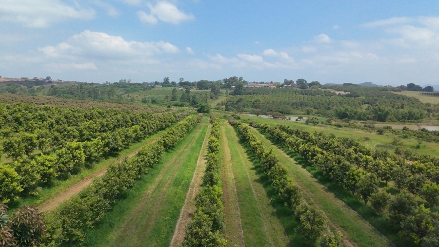 Commercial Property for Sale in White River Rural Mpumalanga