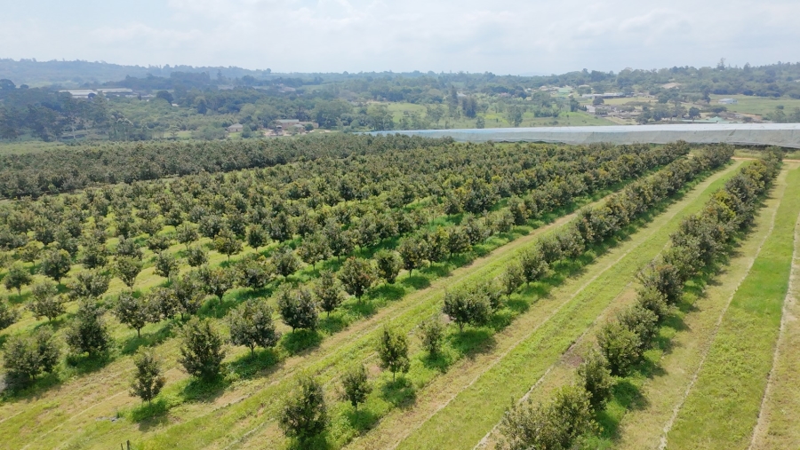 Commercial Property for Sale in White River Rural Mpumalanga