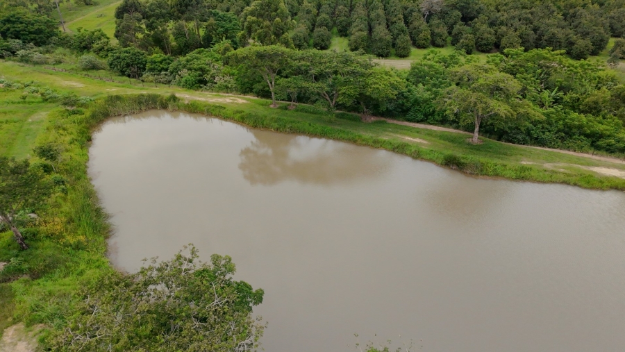 Commercial Property for Sale in White River Rural Mpumalanga