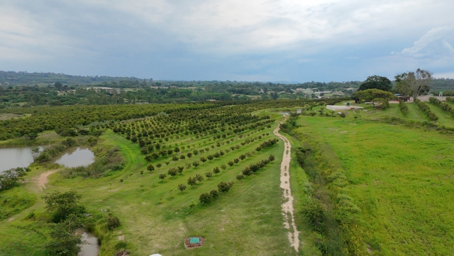 Commercial Property for Sale in White River Rural Mpumalanga