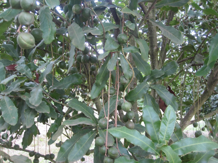 Commercial Property for Sale in Nelspruit Rural Mpumalanga