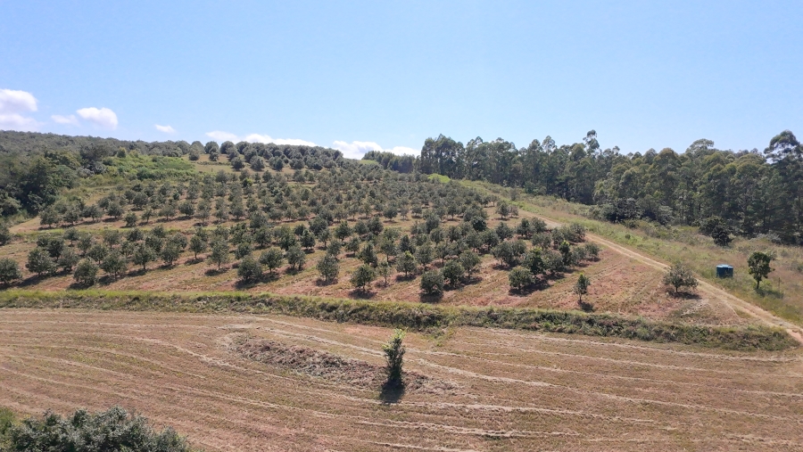 Commercial Property for Sale in Nelspruit Rural Mpumalanga