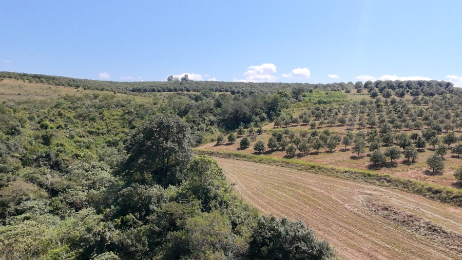 Commercial Property for Sale in Nelspruit Rural Mpumalanga