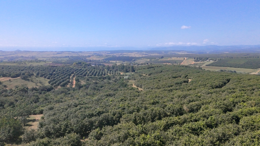 Commercial Property for Sale in Nelspruit Rural Mpumalanga