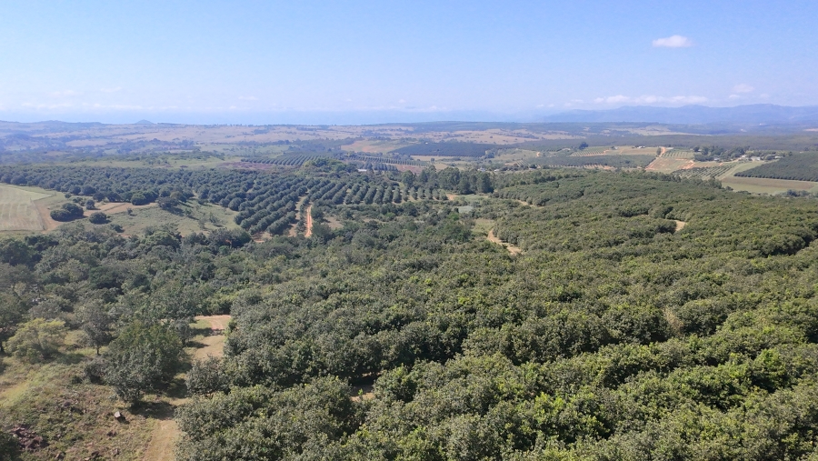 Commercial Property for Sale in Nelspruit Rural Mpumalanga