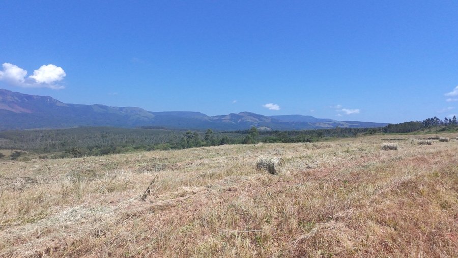 Commercial Property for Sale in Nelspruit Rural Mpumalanga