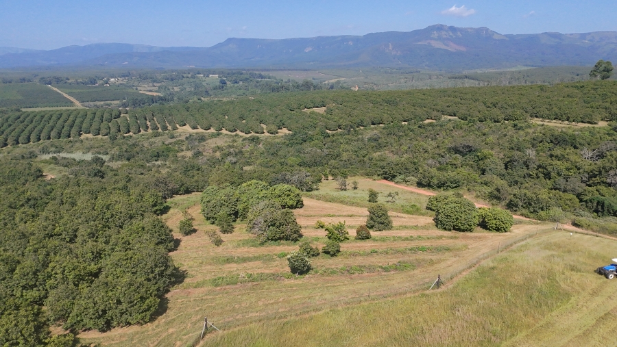 Commercial Property for Sale in Nelspruit Rural Mpumalanga