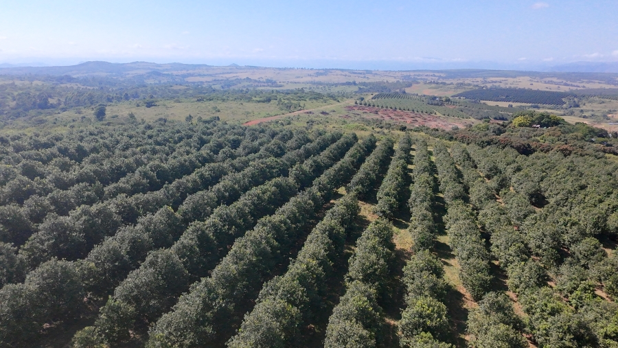 Commercial Property for Sale in Nelspruit Rural Mpumalanga