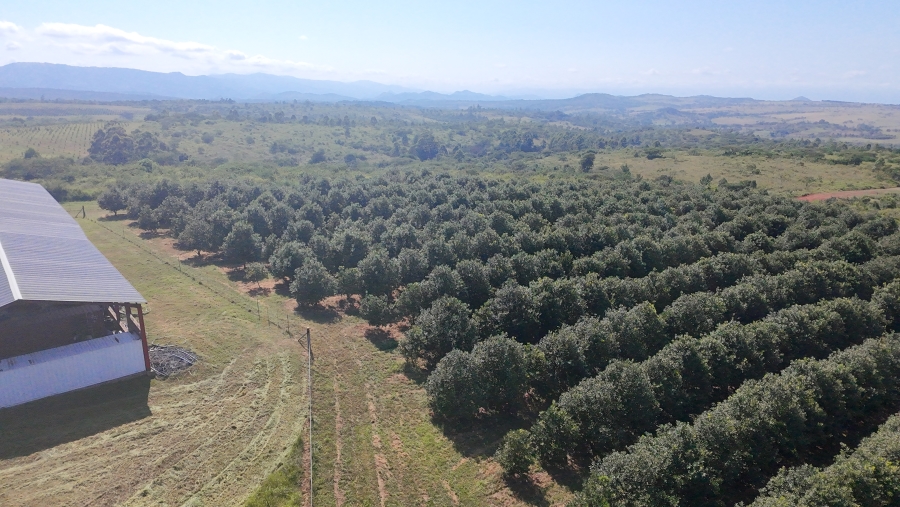 Commercial Property for Sale in Nelspruit Rural Mpumalanga