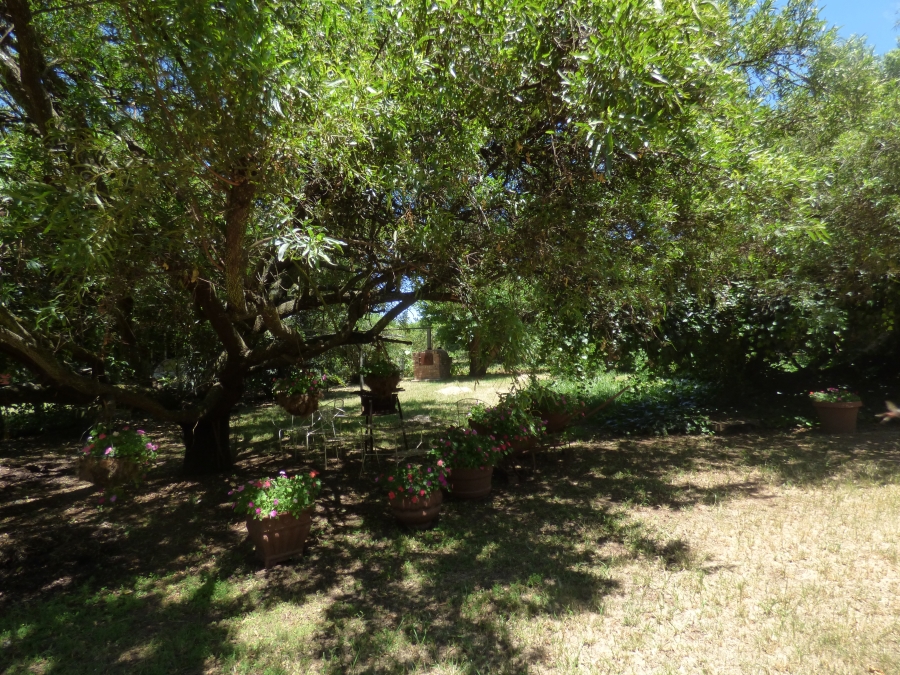 5 Bedroom Property for Sale in Rietkol AH Mpumalanga