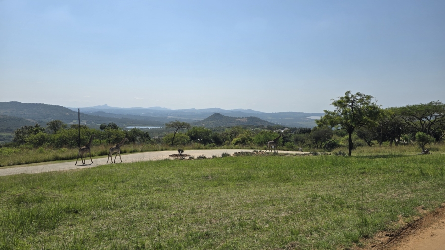 4 Bedroom Property for Sale in Likweti Bushveld Farm Estate Mpumalanga