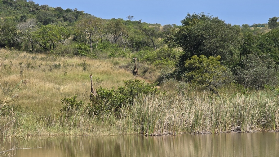 4 Bedroom Property for Sale in Likweti Bushveld Farm Estate Mpumalanga