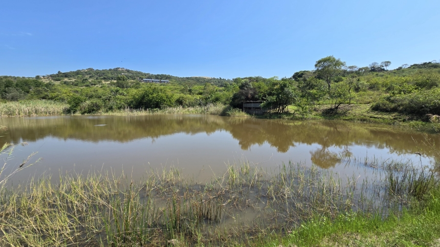 4 Bedroom Property for Sale in Likweti Bushveld Farm Estate Mpumalanga