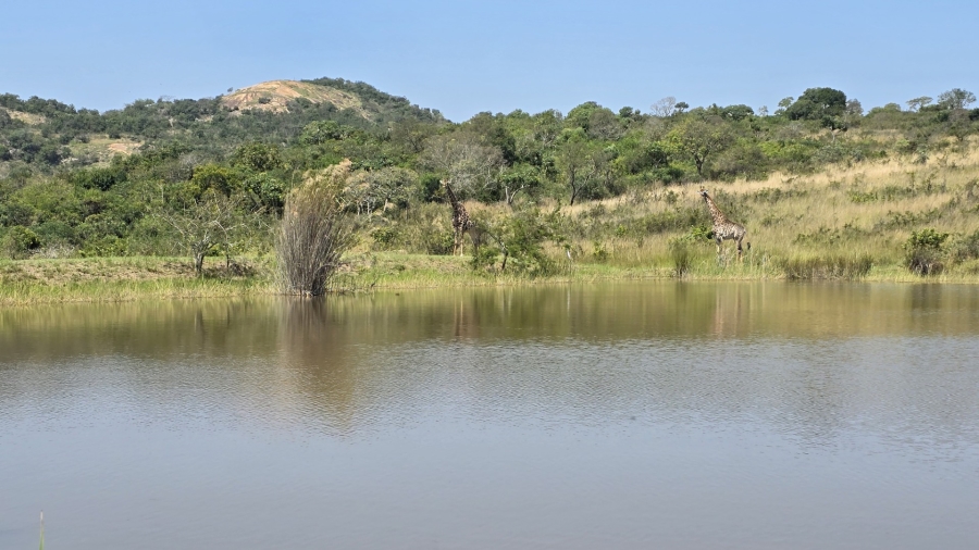 4 Bedroom Property for Sale in Likweti Bushveld Farm Estate Mpumalanga