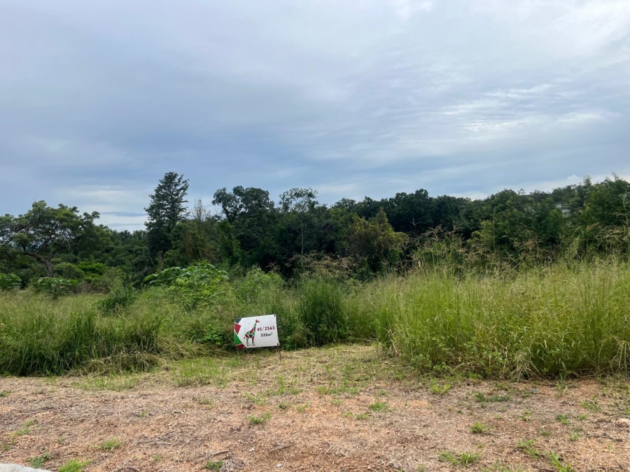 0 Bedroom Property for Sale in Kamagugu Mpumalanga