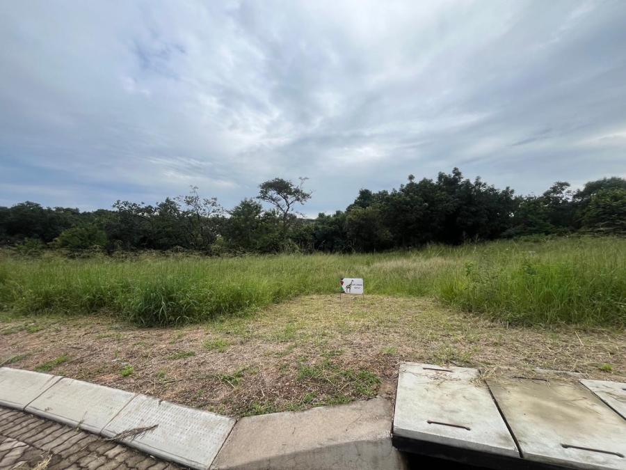 0 Bedroom Property for Sale in Kamagugu Mpumalanga