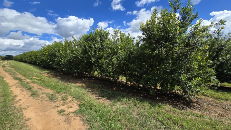 0 Bedroom Property for Sale in White River Rural Mpumalanga