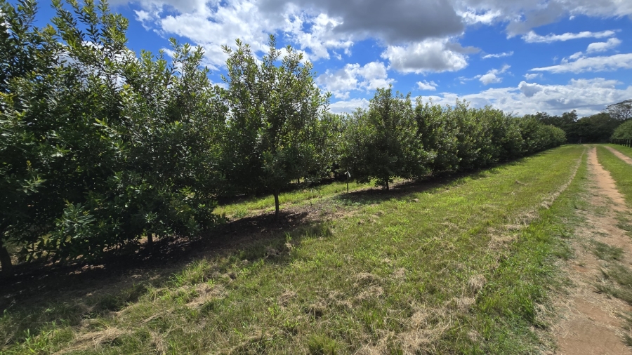 0 Bedroom Property for Sale in White River Rural Mpumalanga