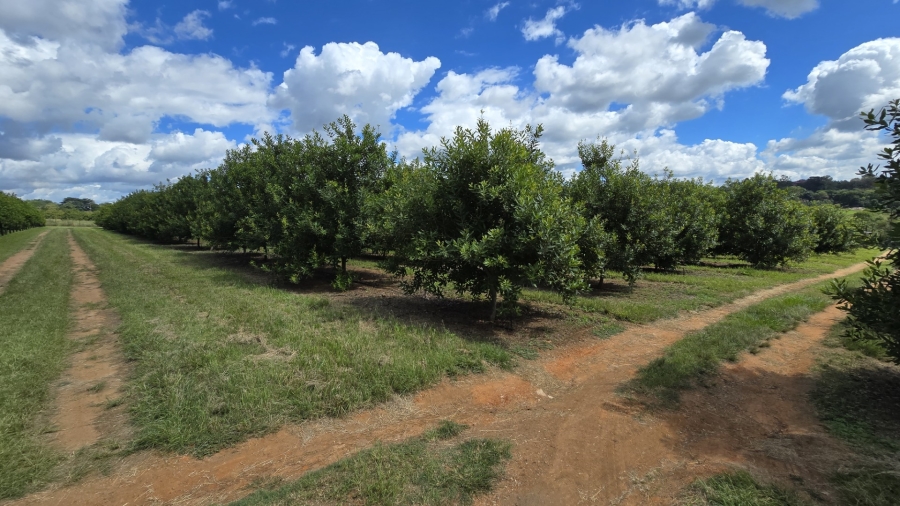 0 Bedroom Property for Sale in White River Rural Mpumalanga