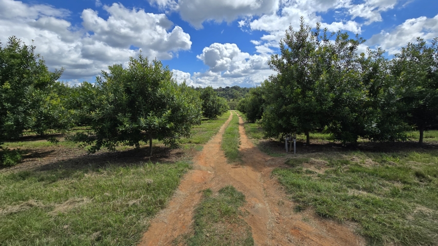 0 Bedroom Property for Sale in White River Rural Mpumalanga