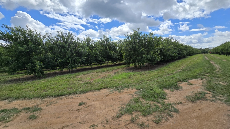 0 Bedroom Property for Sale in White River Rural Mpumalanga