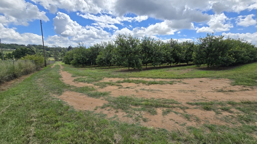 0 Bedroom Property for Sale in White River Rural Mpumalanga