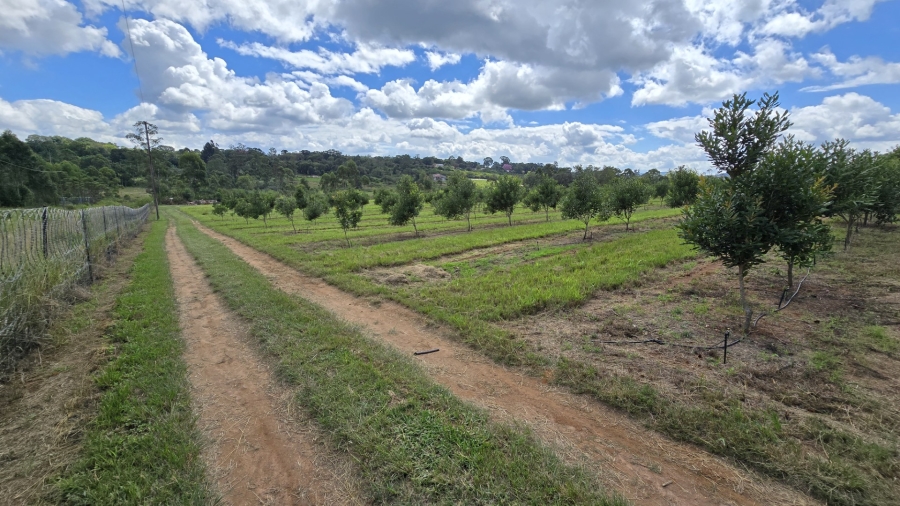 0 Bedroom Property for Sale in White River Rural Mpumalanga