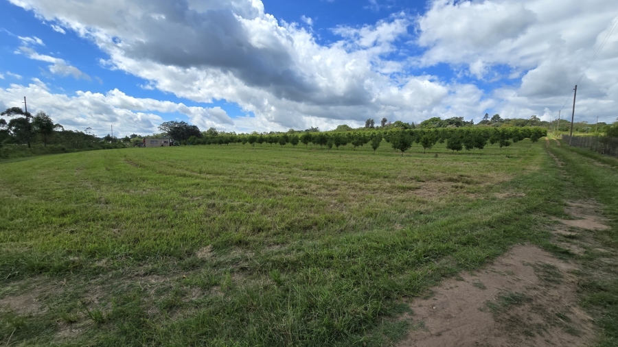 0 Bedroom Property for Sale in White River Rural Mpumalanga